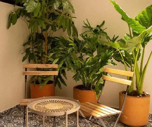 2 Bedroom In Colonia Juarez - Napoles 76 Hotel
